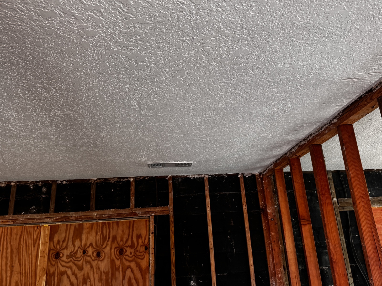 Black mold growth on window frame — Greenlight Claims mold damage public adjuster
